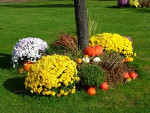 Rattanmöbel günstig im Garten
